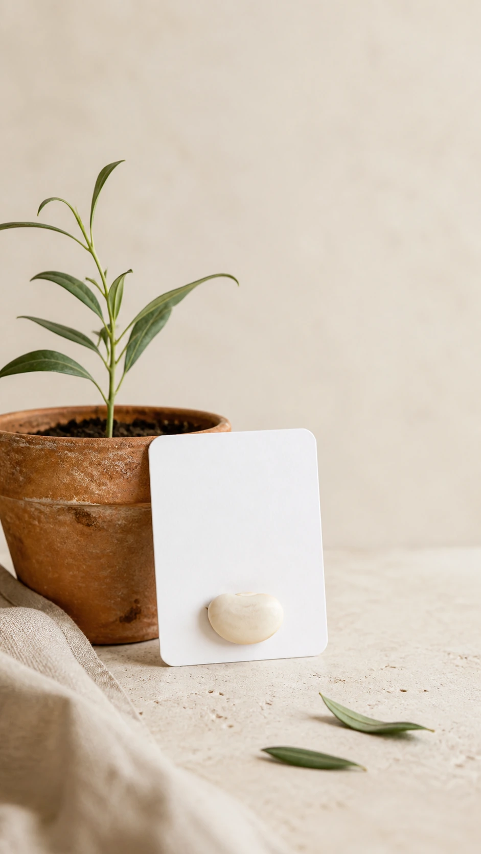 Tarjeta con una semilla junto a una planta decorativa.