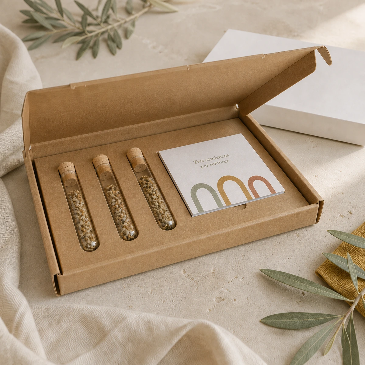 Pack de 3 tubos de semillas y sustrato en caja; simulación de personalización con color y la frase «Tres comienzos por sembrar».