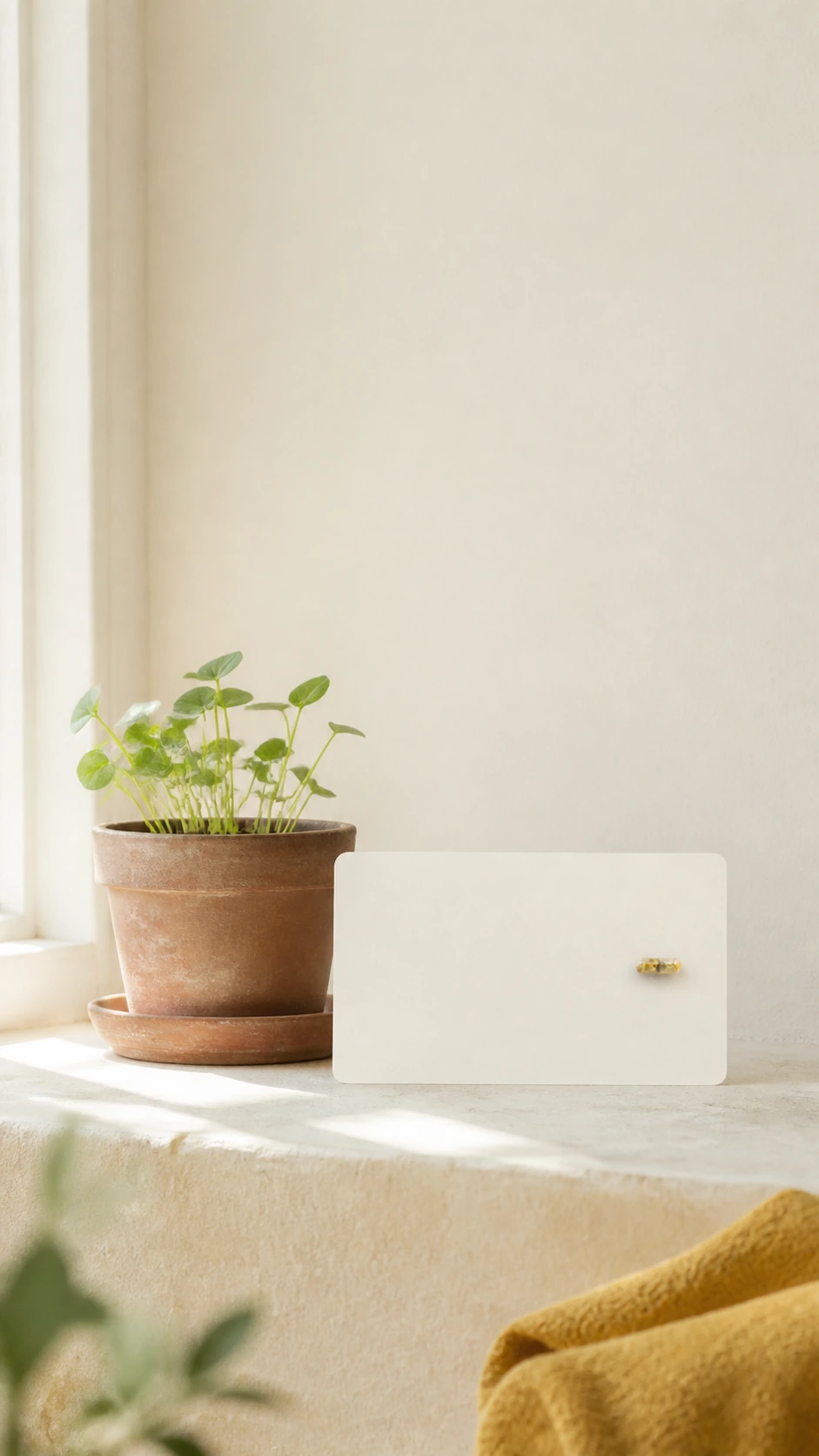 Tarjeta alargada con cápsula de semillas junto a una maceta decorativa