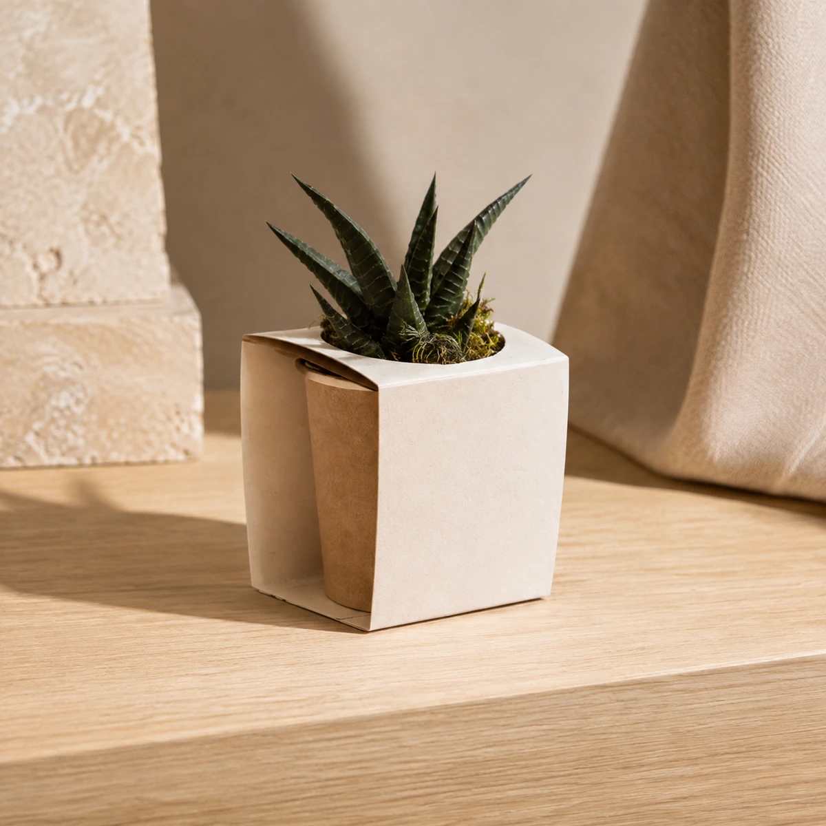 Detalle de la faja troquelada y la maceta de cartón de la planta para regalo.