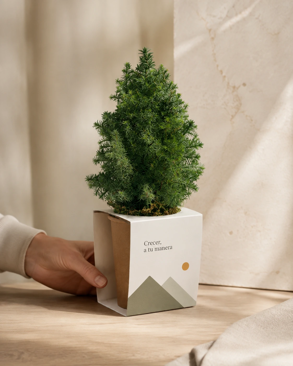 Árbol en maceta de papel con paisaje geométrico y mensaje «Crecer, a tu manera».