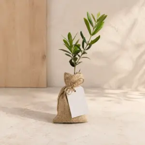 Olivo joven en saco de yute natural con etiqueta personalizable.