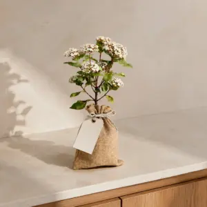 Durillo en saco de yute natural con etiqueta para personalizar.