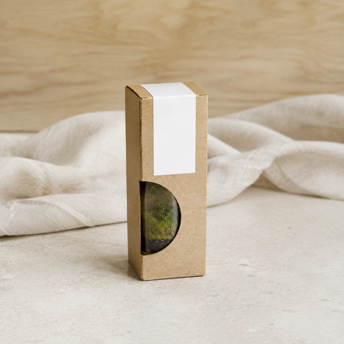Mini terrario en caja kraft con ventana lateral y etiqueta blanca.