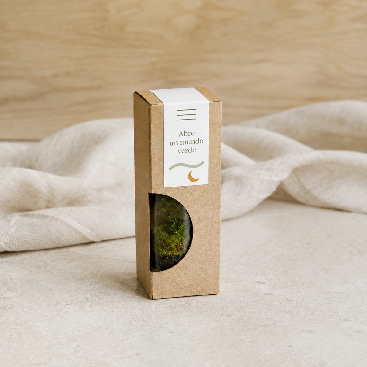 Miniterrario de vidrio en caja personalizable; simulación de personalización con la frase «Abre un mundo verde» y detalles en tonos naturales.