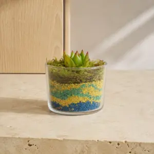 Terrario abierto en vaso bajo con suculenta y grava de colores.