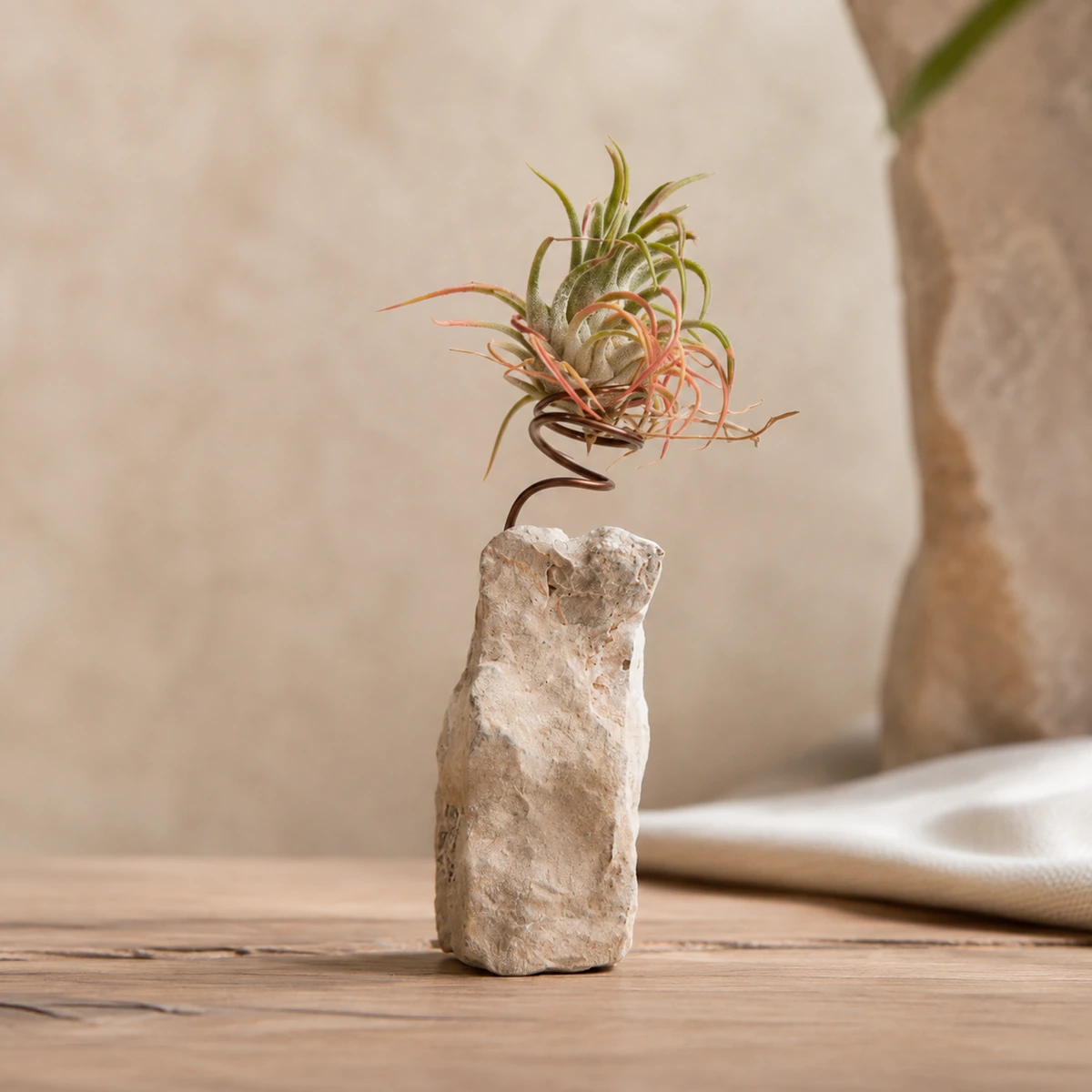 Detalle del soporte de piedra y la sujeción de la planta del aire.