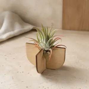 Planta del aire en soporte de madera automontable.