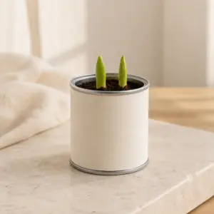 Bulbos en lata con etiqueta personalizable.