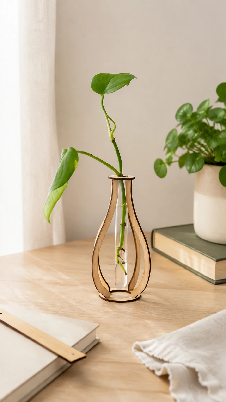 Soporte de madera y vidrio para esqueje en una zona luminosa.