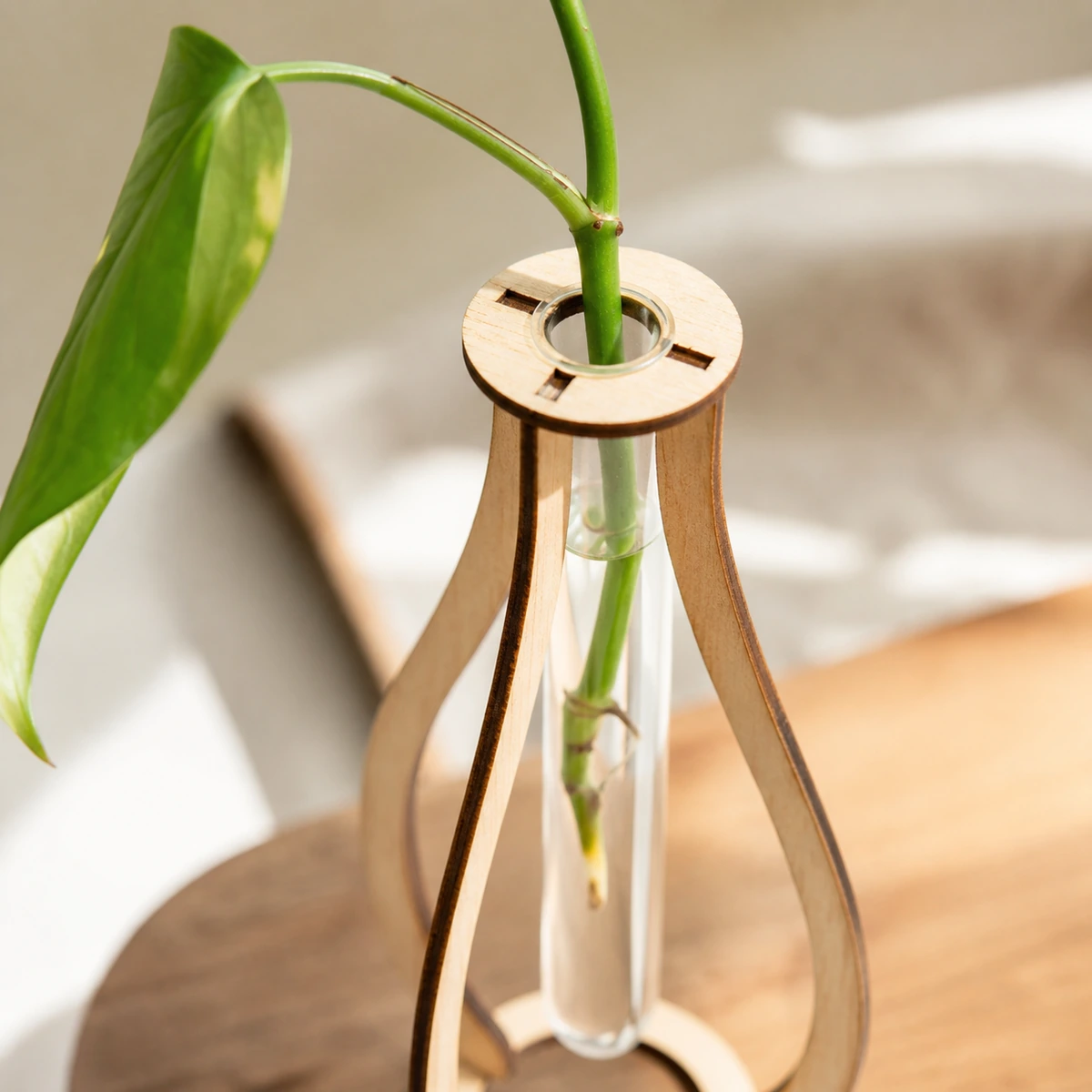 Detalle del anillo de madera y tubo del soporte para esqueje.
